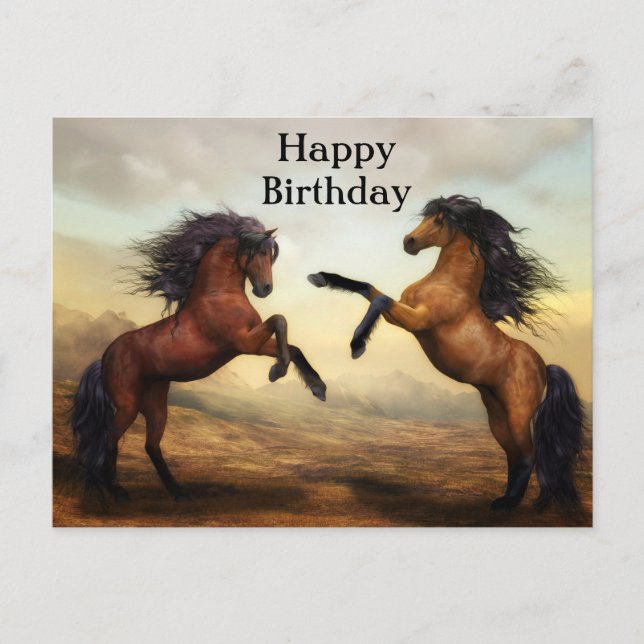 pair of wild horses    postcard (Front)
