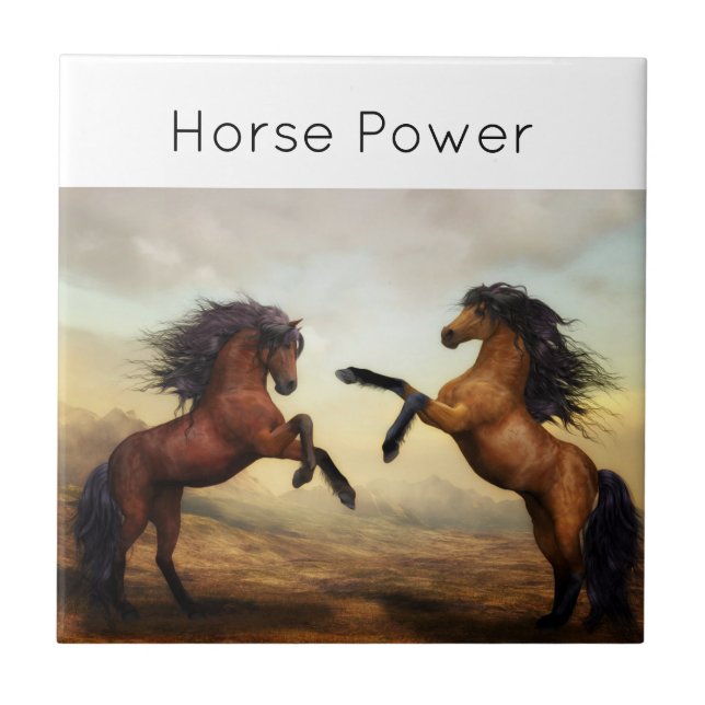 pair of wild horses  tile (Front)