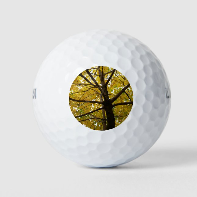 Pair of Yellow Maple Trees Autumn Nature Golf Balls (Front)