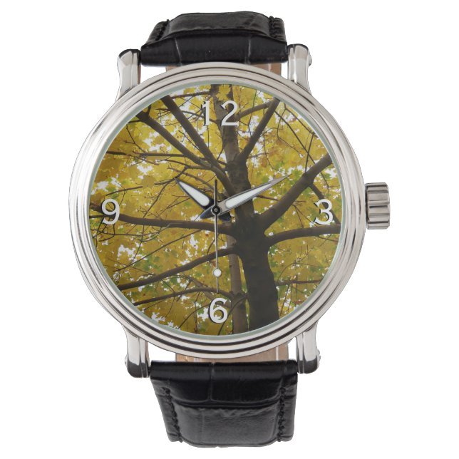 Pair of Yellow Maple Trees Autumn Nature Watch (Front)
