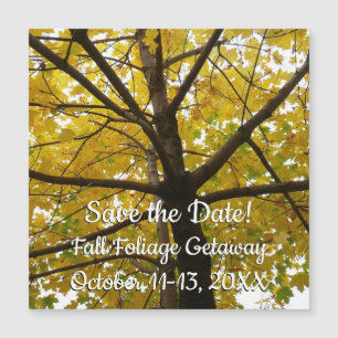 Pair of Yellow Maple Trees Autumn Save the Date