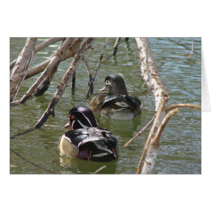 Paire de canard à bois