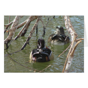 Paire de canard à bois