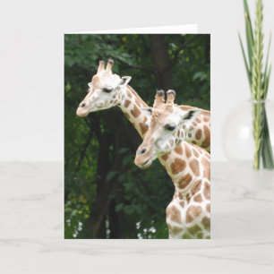 Paire de cartes de voeux Giraffes