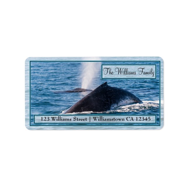 Paire de Étiquettes de adresse de baleines à bosse (Devant)