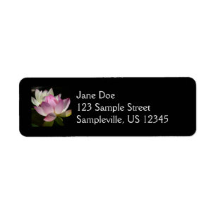 Paire de fleurs de Lotus II
