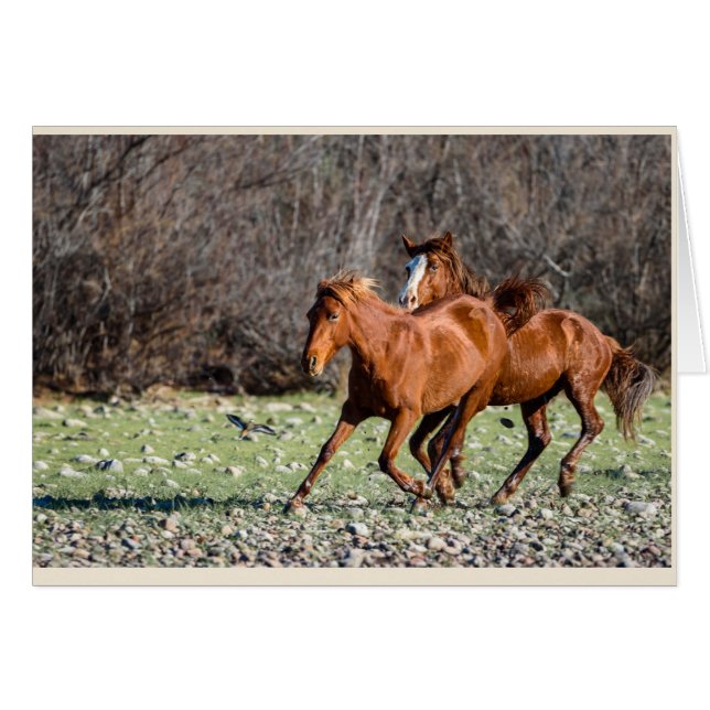 Paires de chevaux sauvages (Devant horizontal)