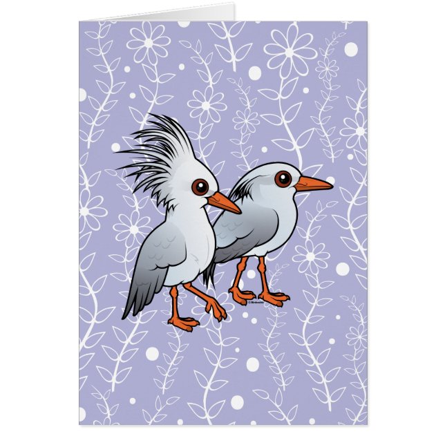 Paires de Kagu (Devant)