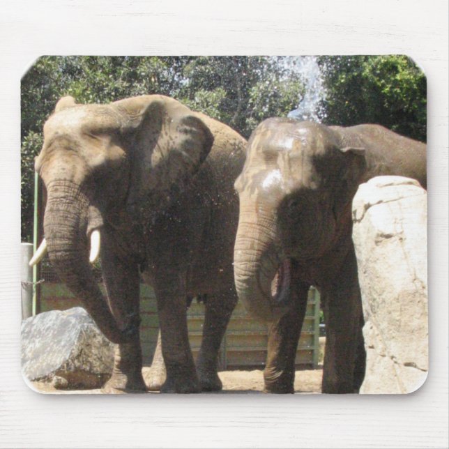 Paires de tapis de souris d'éléphants (Devant)