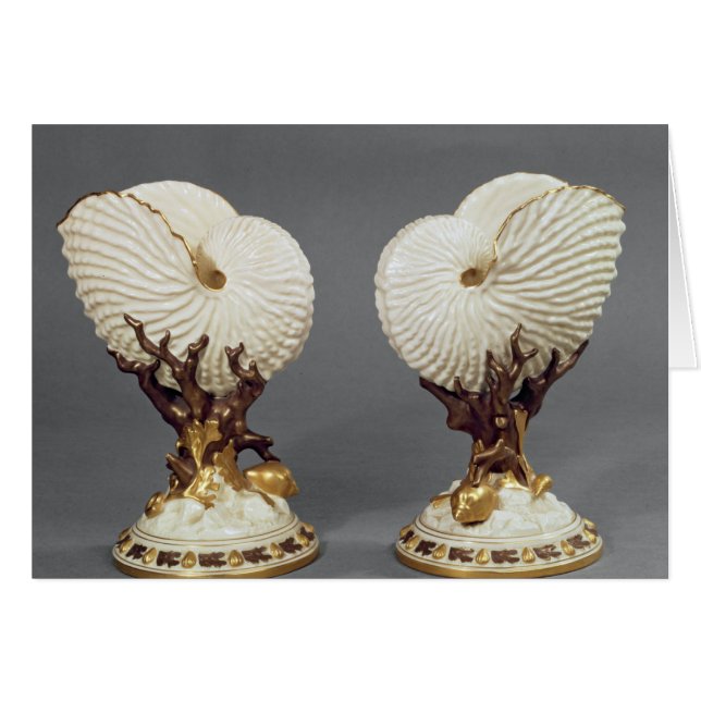 Paires de vases de Worcester formés comme Nautilus (Devant horizontal)
