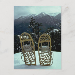 Pairing In The Dazzling White Postcard