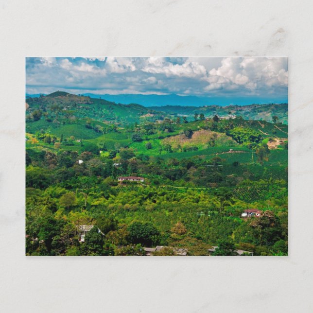 Paisaje del café postcard (Front)