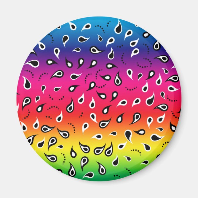 Paisley Rainbow Magnet (Front)