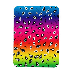 Paisley Rainbow Magnet