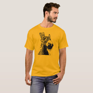 Paix, amour et T-shirt d'ânes