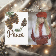 Paix dans la nature Noël Carte photo de vacances