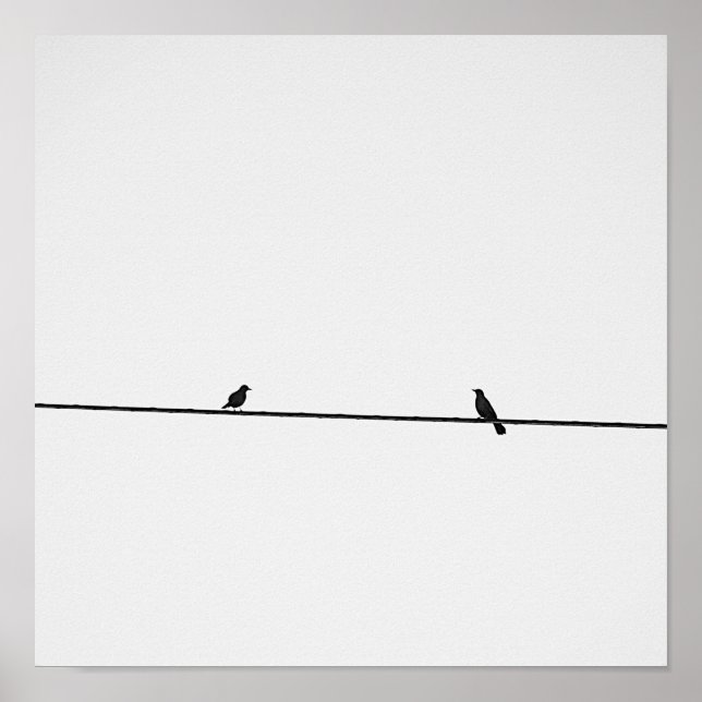 Pájaros posados en blanco y negro poster (Front)