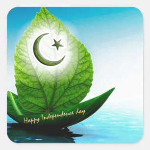 pakistan flag art.jpg square sticker