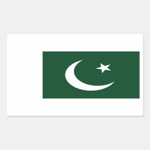 Pakistan/Pakistani Flag Sticker