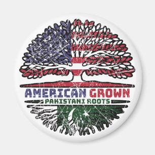 Pakistan Pakistani US American USA United States Magnet