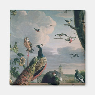 Palace of Amsterdam with Exotic Birds Magnet