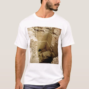 Palace ruin T-Shirt