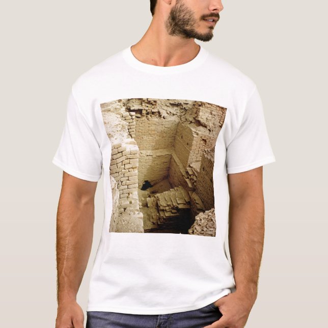 Palace ruin T-Shirt (Front)