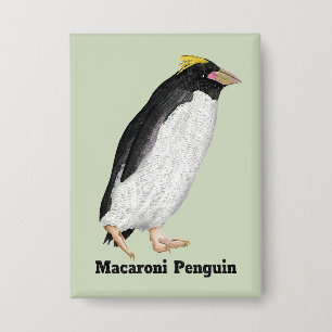 Palaeeudyptes Extinct Penguin