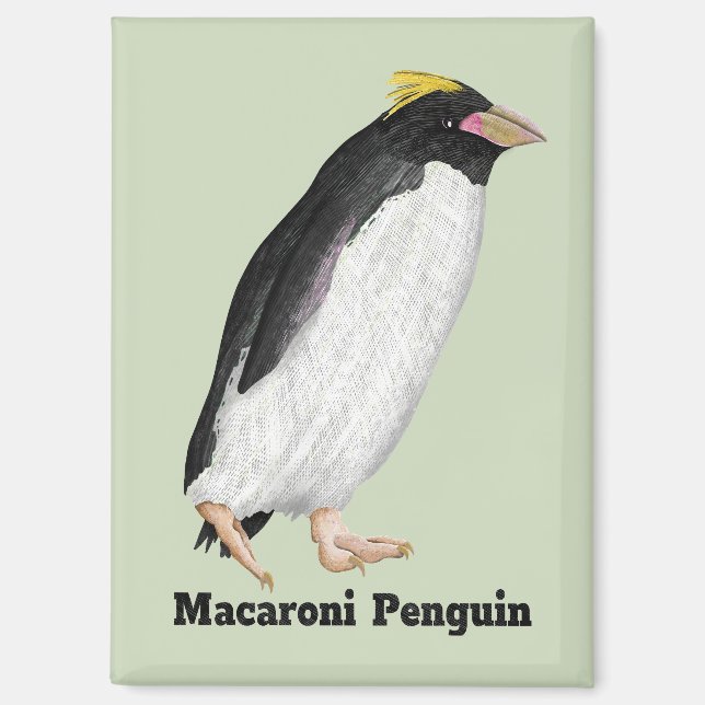 Palaeeudyptes Extinct Penguin Magnet (Front)
