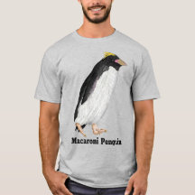 Palaeeudyptes Extinct Penguin
