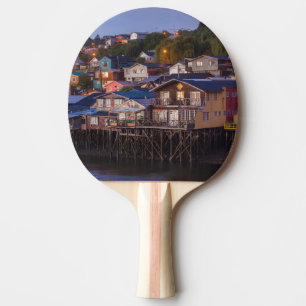 Palafito stilt houses, elevated view ping pong paddle
