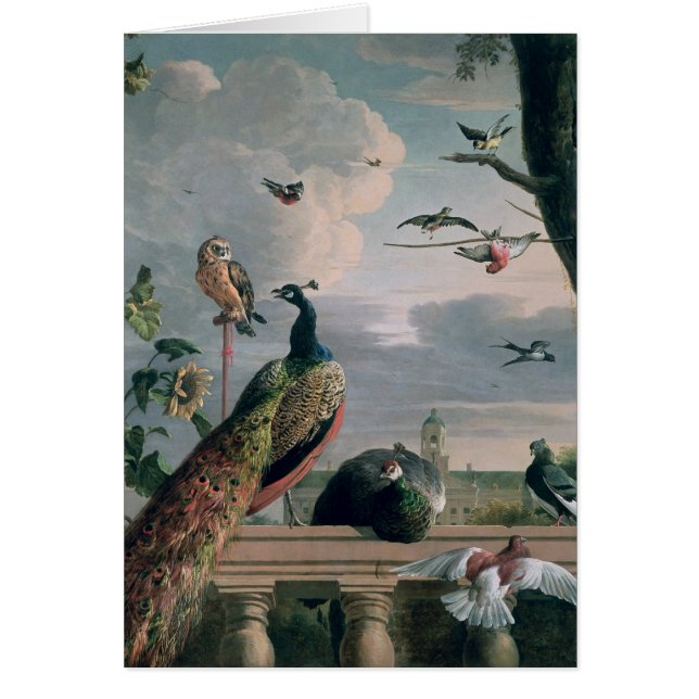 Palais d'Amsterdam avec les oiseaux exotiques (Devant)