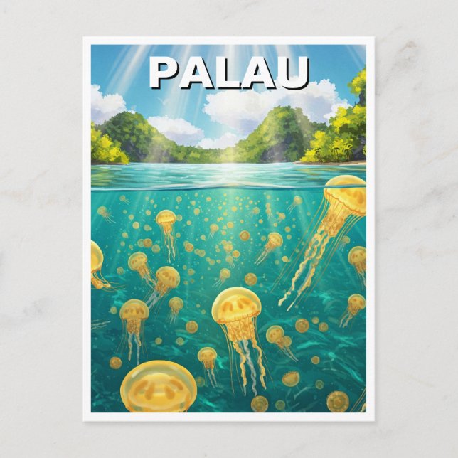 Palau Jellyfish Lake Travel Postcard (Front)