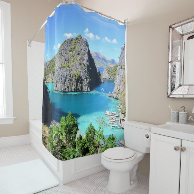 Palawan Lagoon, Philippines (In Situ)