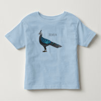 Palawan peacock pheasant bird cartoon illustration