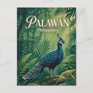 Palawan Philippines Postcard