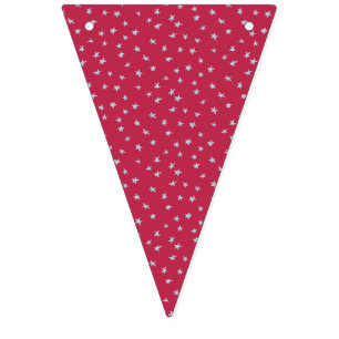 Pale Blue American Stars on Red Bunting Banner