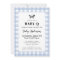 Pale Blue Gingham Plaid Baby Shower BBQ