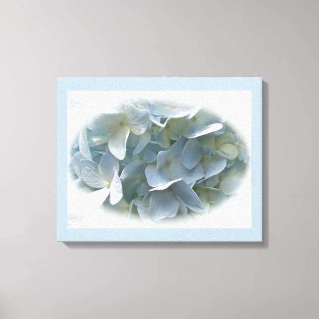 Pale Blue Hydrangea Flowers Canvas Print (Front)