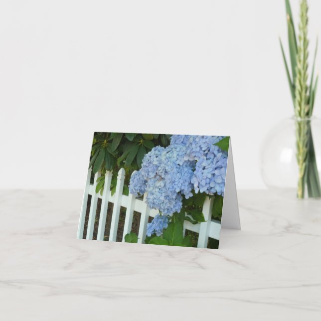 Pale Blues Card (Front)