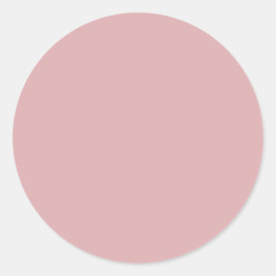 Pale Chestnut Solid Colour Classic Round Sticker
