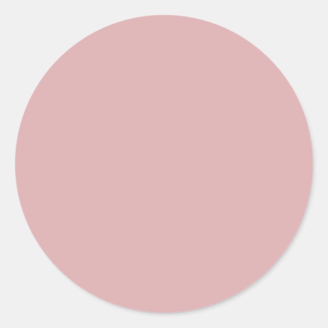 Pale Chestnut Solid Colour Classic Round Sticker (Front)