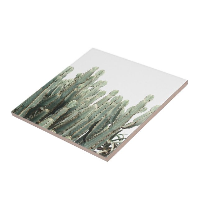 Pale Green Cactus Plants Pattern Tile (Side)