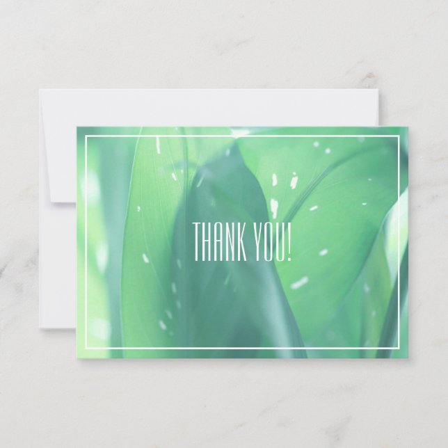 Pale Green Leaf Plant Thank You Flat Card (Front)