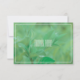 Pale Green Leaf Plant Thank You Flat Card