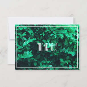 Pale Green Leaf Plant Thank You Flat Card