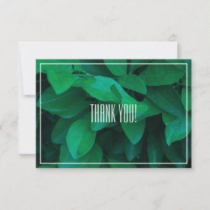 Pale Green Leaf Plant Thank You Flat Card