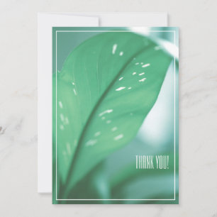 Pale Green Leaf Plant Thank You Flat Card