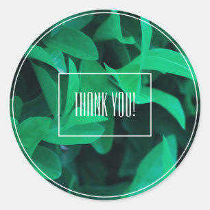 Pale Green Leaf Plant Thank You Sticker