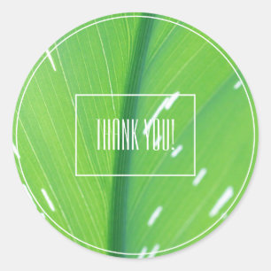Pale Green Leaf Plant Thank You Sticker